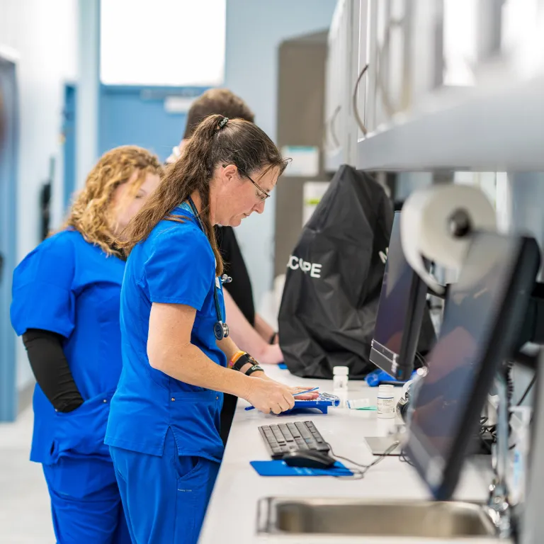bellaire veterinary team treatment room
